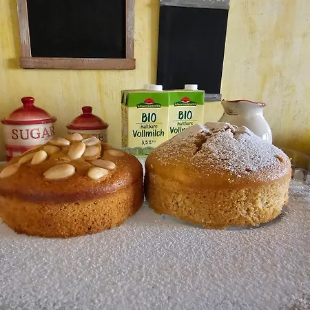 Beautiful Alamedas - Una Casa Rural Con Una Historia Unica Castronuno Buitenkant foto